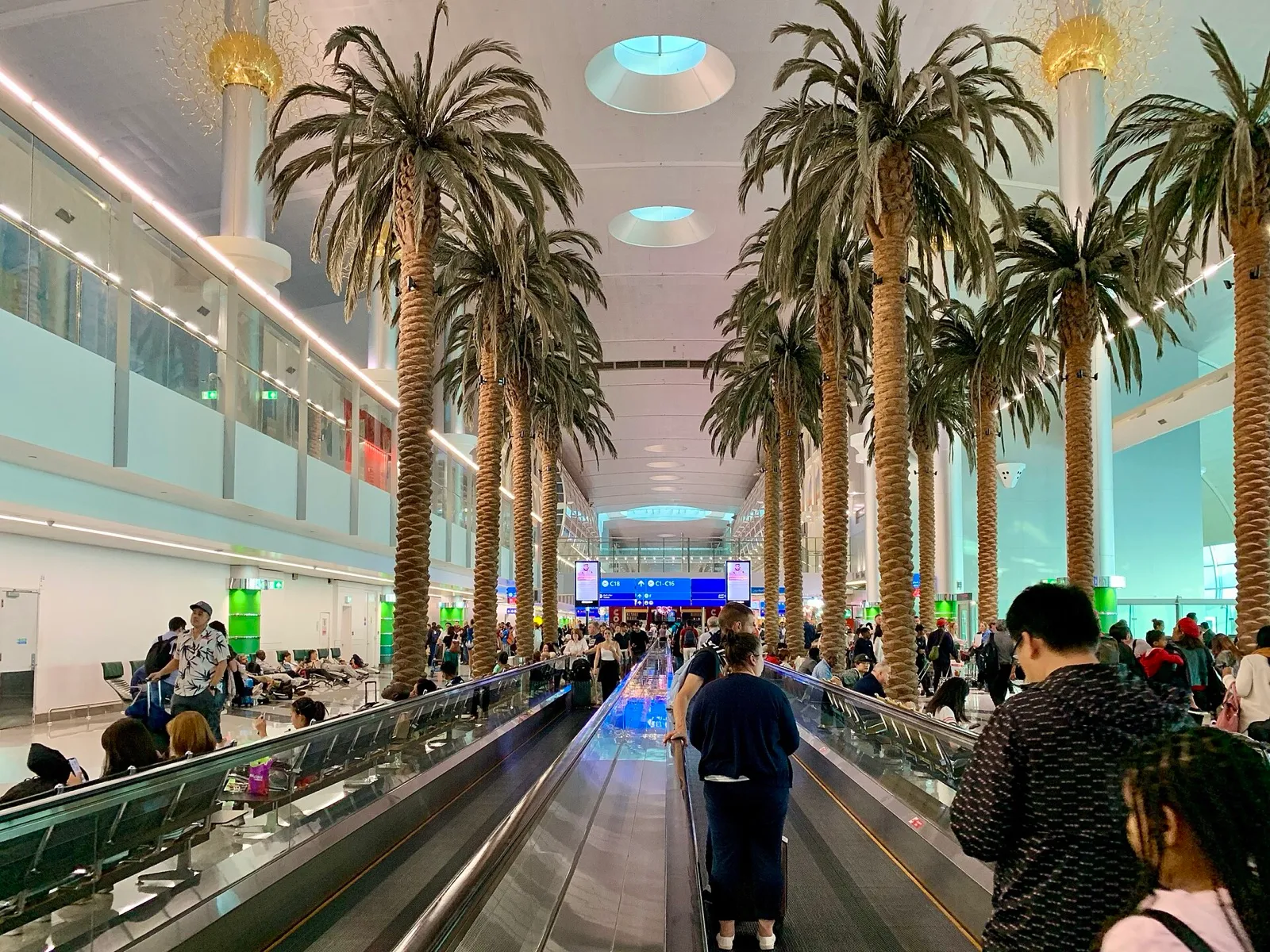 Pasillo de la Terminal 3 del Aeropuerto Internacional de Dubái, con palmeras decorativas y pasillos rodantes