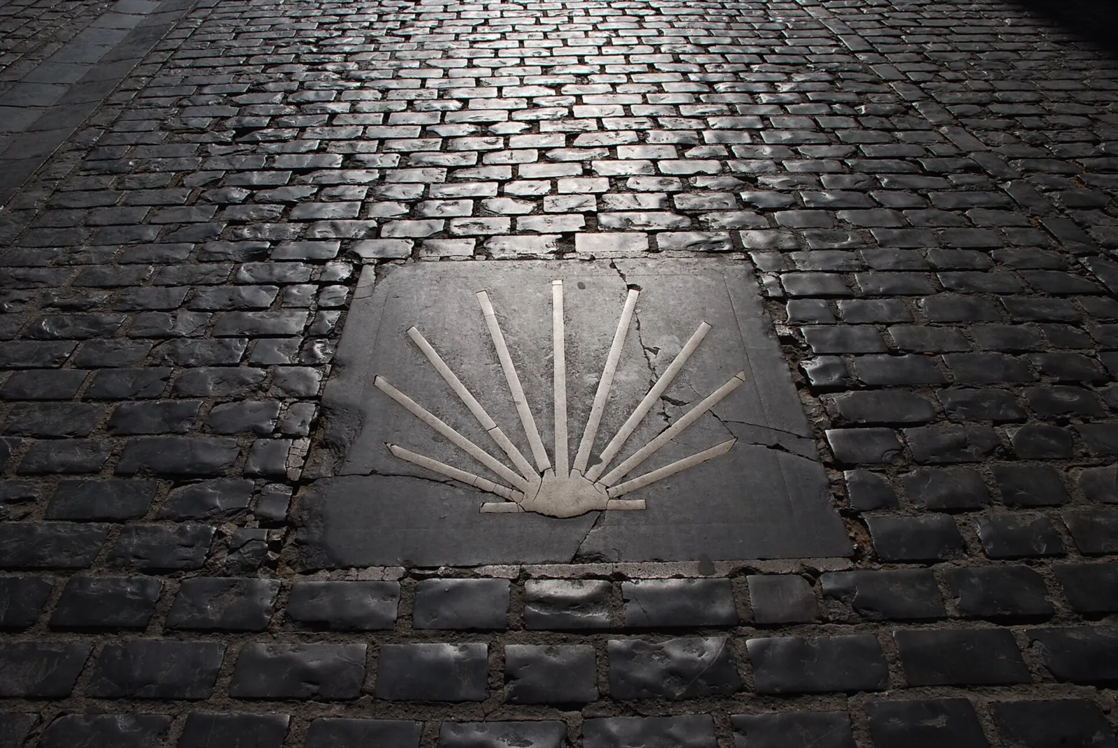 Concha del Camino de Santiago incrustada en el empedrado de una calle de Logroño